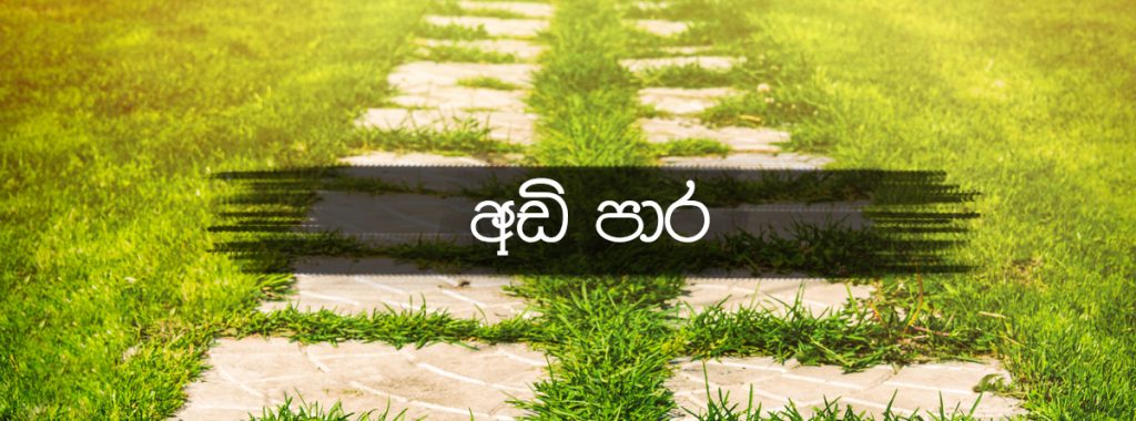 අඩි පාර ( මංමුලා නොවී යන්නට )