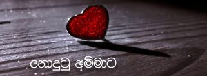 නොදුටු අම්මාට