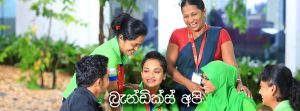 බ්‍රැන්ඩික්ස් අපි