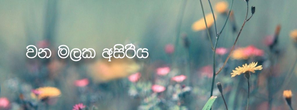 වන මලක අසිරිය