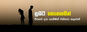 නුඹට සෙනෙහසින් - විරහව දරා ගැනීමත් එක්තරා කලාවක්