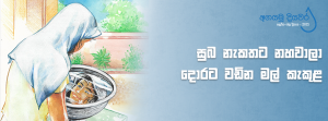 සුබ නැකතට නහවාලා දොරට වඩින මල් කැකුළ