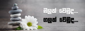 මලක් වෙමුද... ගලක් වෙමුද....