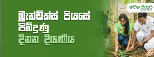 බ්‍රැන්ඩික්ස් පියසේ පිබිදුණු දිනන දියණිය