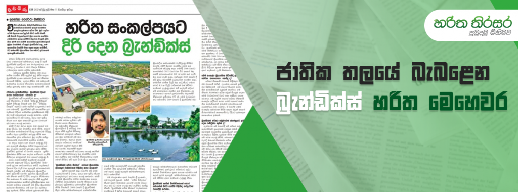 ජාතික තලයේ බැබළෙන බ්‍රැන්ඩික්ස් හරිත මෙහෙවර