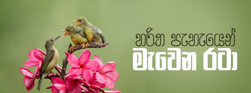 Viyaman Rata හරිත පැහැයෙන් මැවෙන රටා – වියමන්